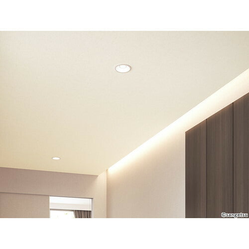 【1m単位切売】サンゲツ クロス リザーブ 天井 RE55206