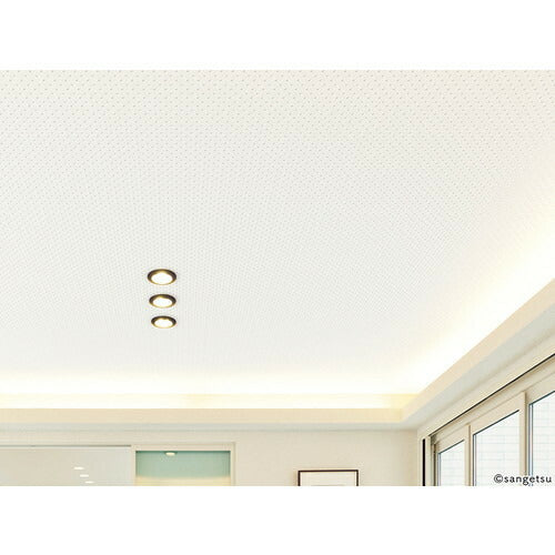 【1m単位切売】サンゲツ クロス リザーブ 天井 RE55207