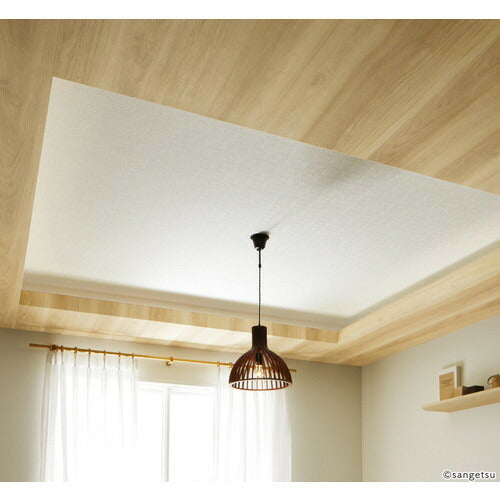 【1m単位切売】サンゲツ クロス リザーブ 天井 RE55209