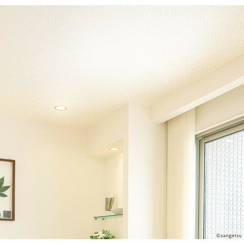 【1m単位切売】サンゲツ クロス リザーブ 天井 RE55211