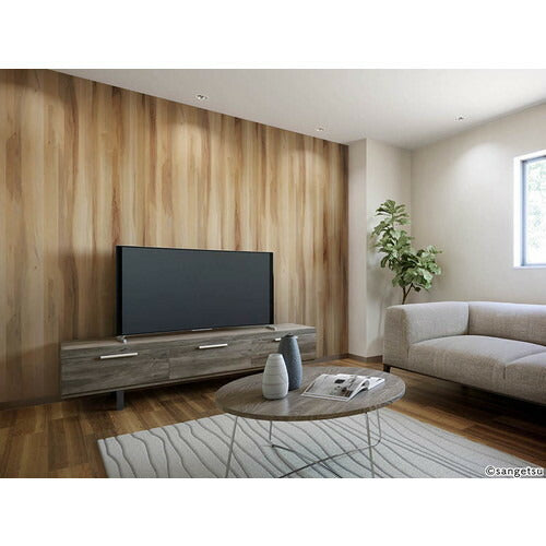 【1m単位切売】サンゲツ クロス リザーブ 天井 RE55213