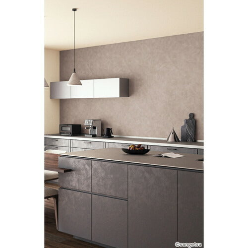 【1m単位切売】サンゲツ クロス リザーブ 天井 RE55215