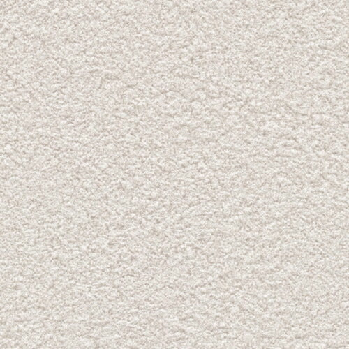 【1m単位切売】サンゲツ クロス リザーブ 天井 RE55215