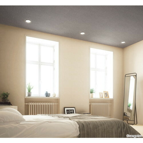 【1m単位切売】サンゲツ クロス リザーブ 天井 RE55216