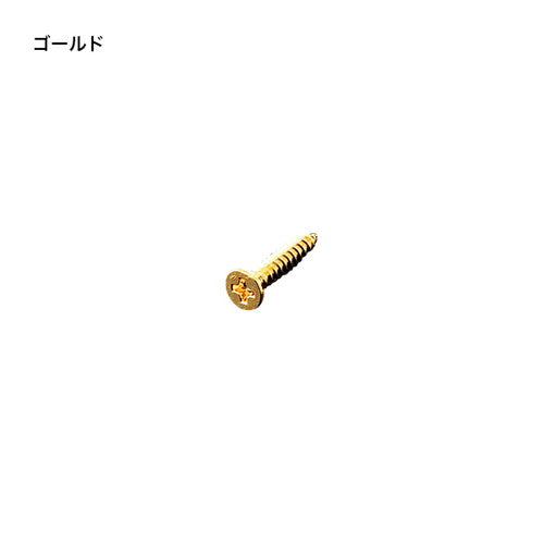 タッピングネジφ3×16クローム(50本入)55116CRM