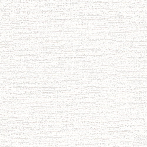 東リクロスVS天壁VS1021の所品画像