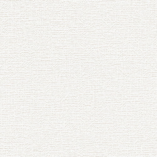 東リクロスVS天壁VS1022の所品画像