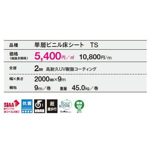 【長尺シート】【東リ塩ビシート】【ビニル床シート】 ヒトエグランザ 【1m単位での購入可】