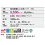 【長尺シート】【東リ塩ビシート】【ビニル床シート】 SFフロアNW 【1m単位での購入可】