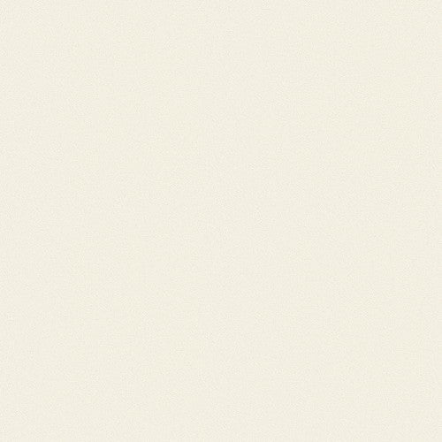 1m単位切売 東リ クロス VSクロス VS3002