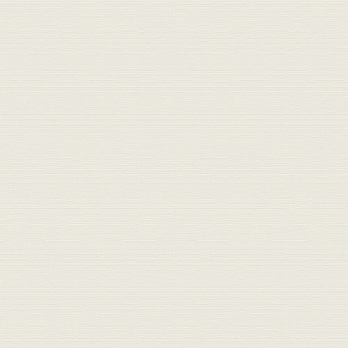 1m単位切売 東リ クロス VSクロス VS3007 (抗ウイルス)