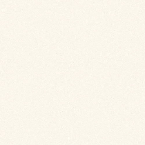 1m単位切売 東リ クロス VSクロス VS3029