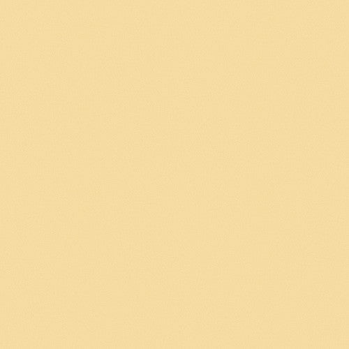 1m単位切売 東リ クロス VSクロス VS3039