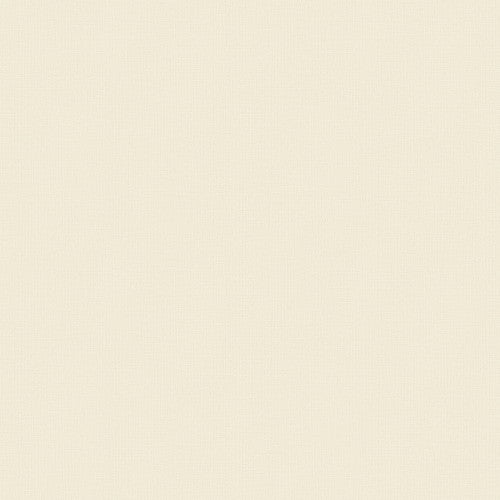 1m単位切売 東リ クロス VSクロス VS3062