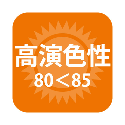 【バラスト300W LEDランプ】【電球色 広角 】ニッケンハードウェア ビューランプ VLE39WD-W 白