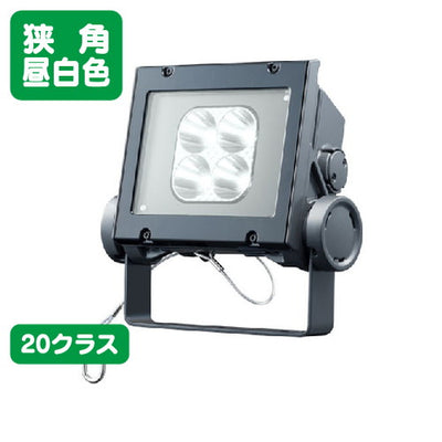 岩崎電気 ECF2040N/NSAN8/DG LED投光器 レディオックフラッドネオ 20クラス 狭角タイプ 昼白色タイプの商品画像