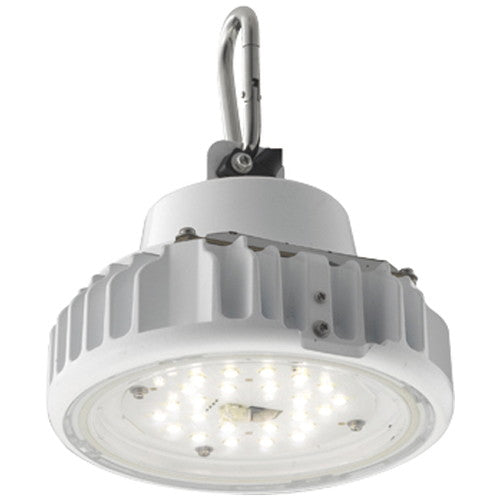 岩崎電気EQCL1003CSA9A高天井用照明レディオックシーリング低温対応形25Wタイプ(高圧ナトリウムランプ用器具代替品)吊下形の商品画像